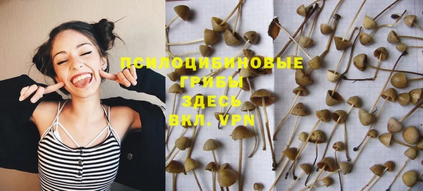 соль ск Няндома