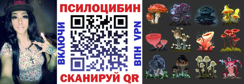 Псилоцибиновые грибы прущие грибы  где продают   Михайлов 